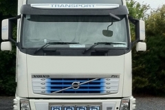 gillane trans5